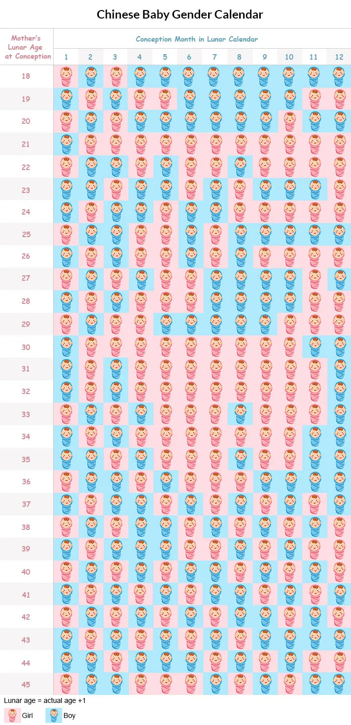 Chinese Pregnancy Calendar 2026 Printable Calendars