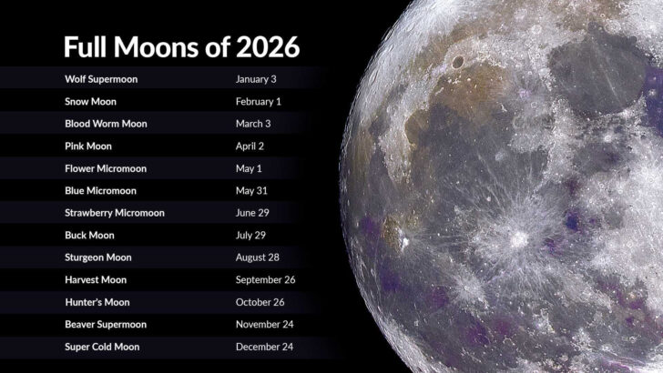 Southern Hemisphere Moon Phase Calendar 2026