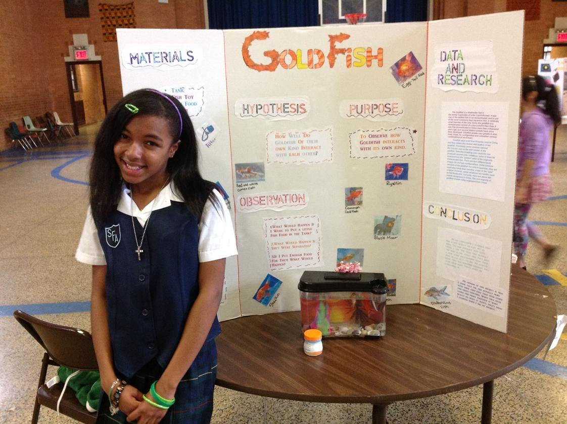 St. Francis Of Assisi Catholic Academy (Top Ranked Private School with Brooklyn Catholic Schools Calendar 2026 - 2027